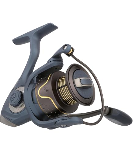 President XT Spinning Reel-Box- 25-10- 6.2:1 : Amazon.ca: Sports